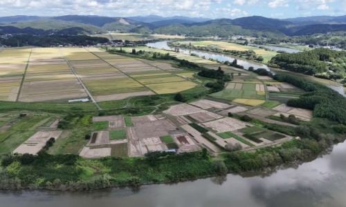 河虾功效作用及营养-河虾的功效与禁忌、河虾的营养成分与食用功效 -河虾公功效网